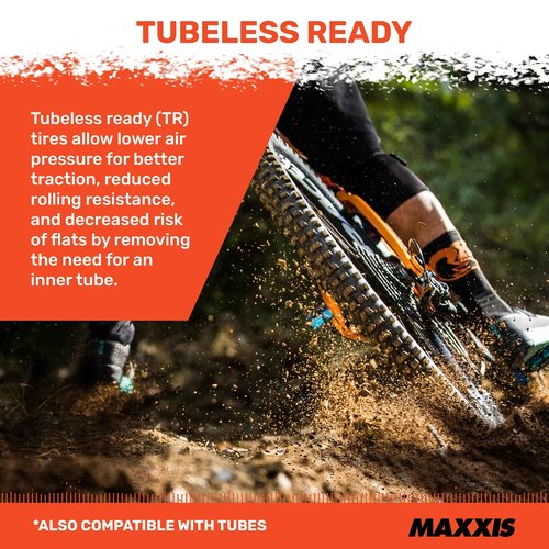 Aggressor Mountain Bike Tire - 29x2.50WT, 63-622, Dual, EXO, Tubless Ready, WT, Bundle with Cycle Crew Tire Lever