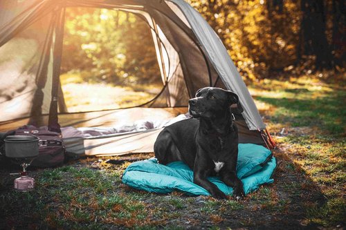 Glacial Blue Ultralight Dog Sleeping Bag with Packable Bed for Hiking, Camping and Outdoor Travel - Medium Size