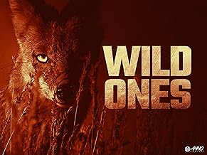 Wild Ones