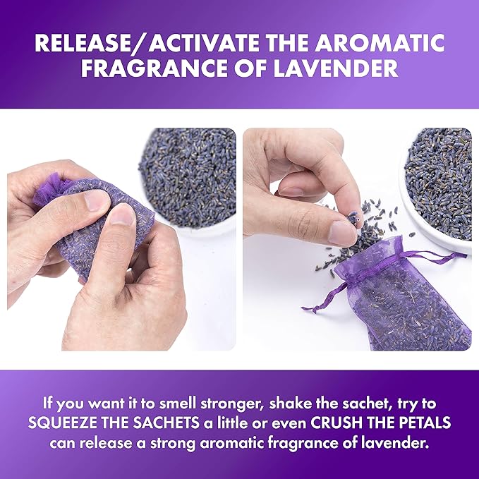 French Lavender Sachets for Drawers and Closets Fresh Scents, Set of 36, Home Fragrance Sachet for Closets and Drawers, Purple, LV-C-36-1