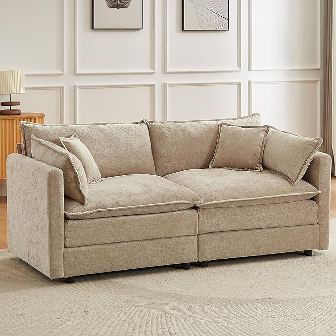 saows Modular Sectional Sofa, 77 Inch Rectangle Shaped Couch Set, 2-Seater Comfy Cloud Couches for Living Room Apartment, Coffee