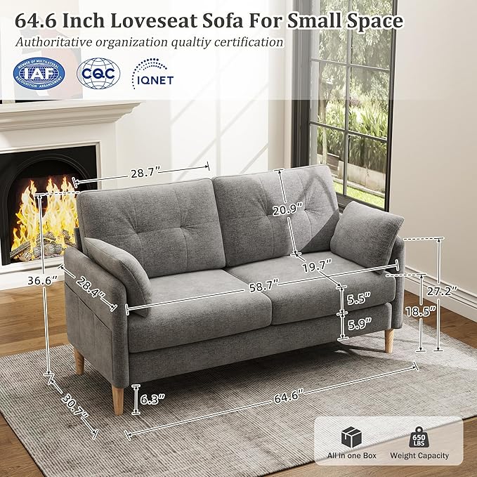 Hanherry Loveseat Sofa, 64.6" Small Couch for Living Room, Comfy Chenille Fabric Love Seat for Bedroom with Throw Pillow,Removable Cushion Cover,Couches for Small Space,Apartment,Dorm