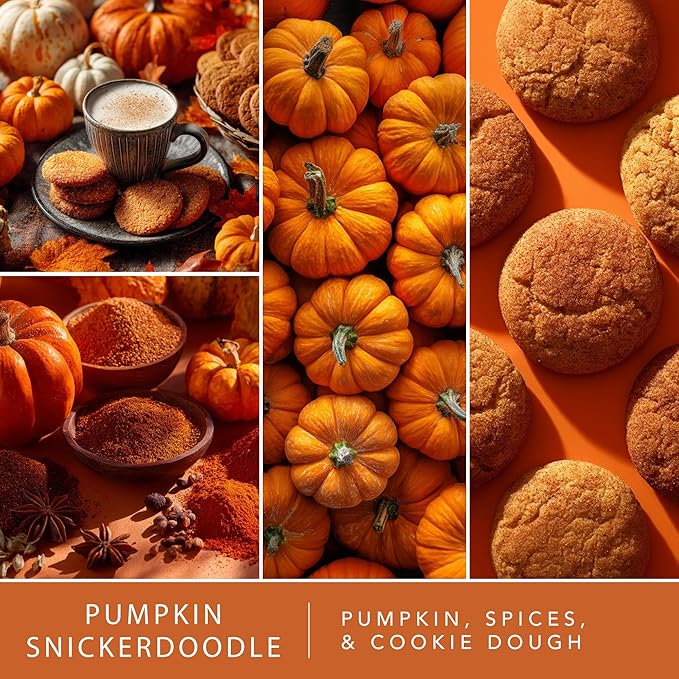 Scentsationals Fragrance Oil Plug In Air Freshener Refills 3-Pack - Pumpkin Snickerdoodle - Works with Scentsationals Wall Plugs, Long-Lasting Home Fragrance, 0.8 fl oz Each, Packaging May Vary