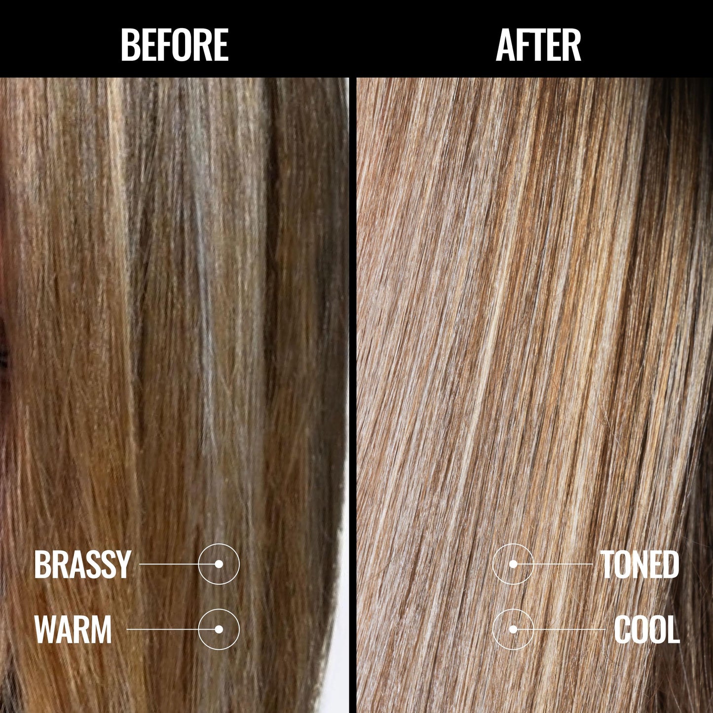Pravana The Perfect Blonde Purple Toning Shampoo | Neutralizes Brassy, Yellow Tones | For Color-Treated Hair | Chromasilk Enhanc