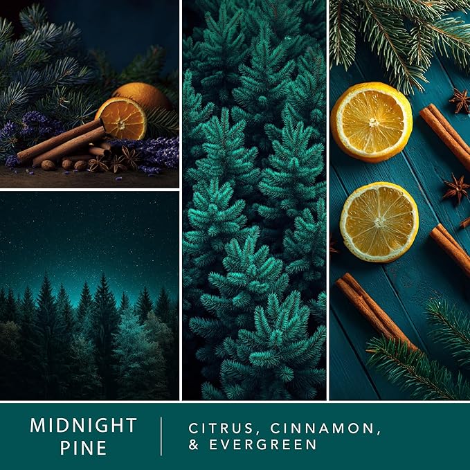 Scentsationals Fragrance Oil Plug In Air Freshener Refills 3-Pack - Midnight Pine - Works with Scentsationals Wall Plugs, Long-Lasting Home Fragrance, 0.8 fl oz Each, Packaging May Vary