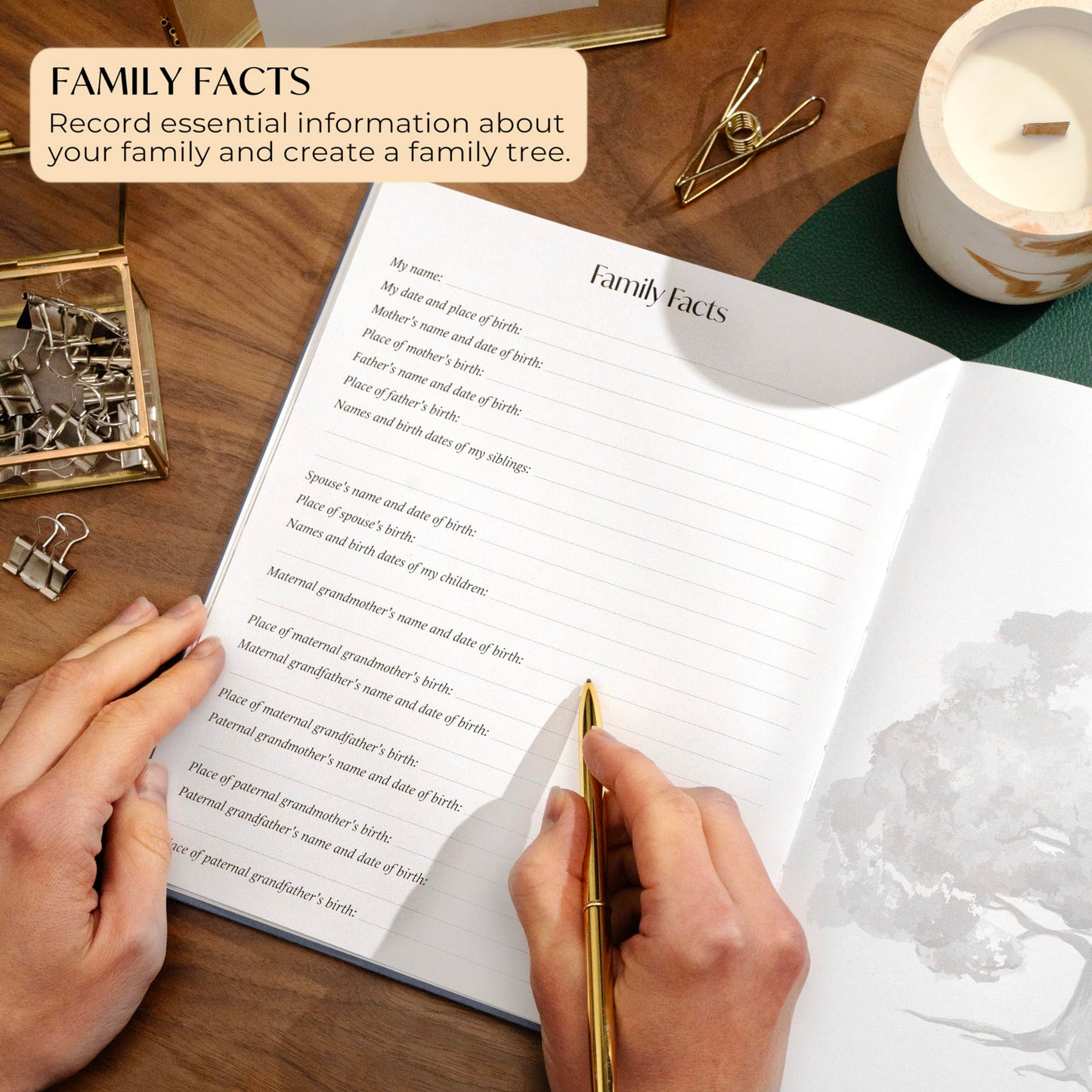 Skyline Grandparent Memory Book – Family Tree & Legacy Journal – Birthday Gifts for Nana, Grandpa & Grandma from Grandchildren (Space Blue)
