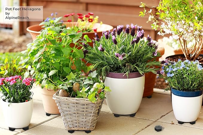 AlpineReach Extra Heavy Duty Pot Feet Risers 12 Pack Hexagons & Adhesive Pads - Protect Healthy Plants - Strong Invisible Supports Small Large Flower Planters Stability - Outdoor Lifter Toes Elevator