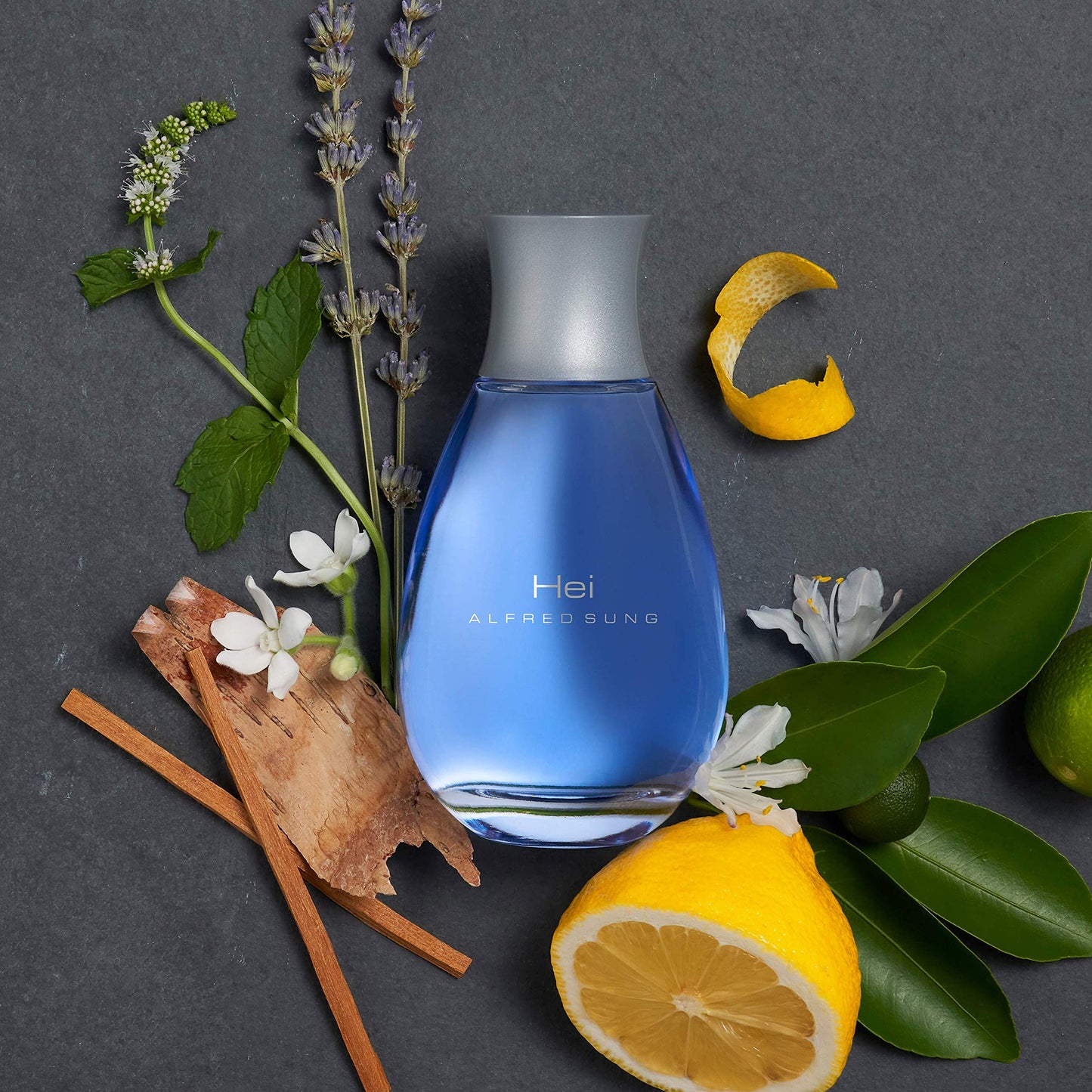 ALFRED SUNG HEI Cologne For Men, Eau De Toilette Spray Vaporisation for Day or Night, Gift for Him, 3.4 oz