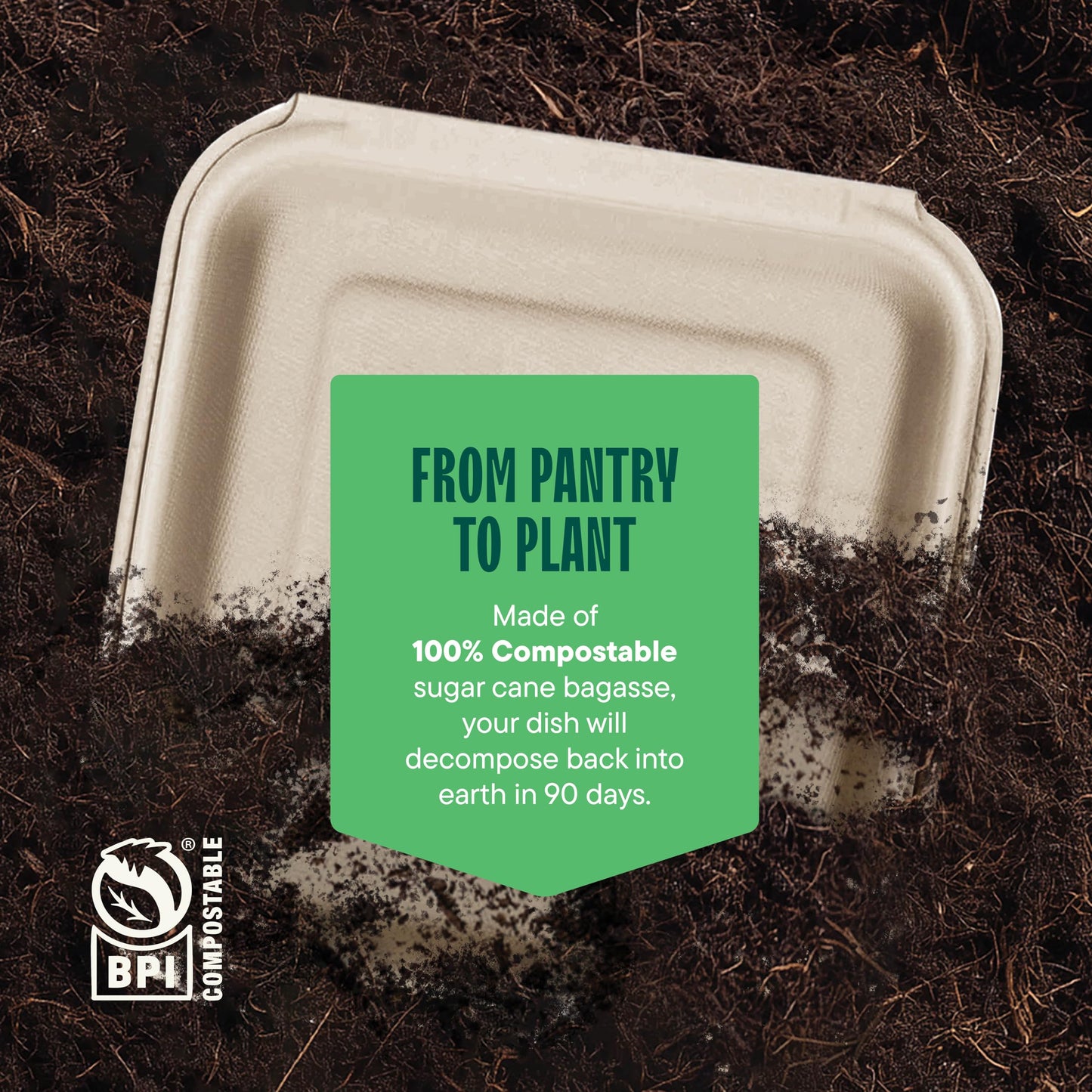 100% Compostable Clamshell Take Out Food Containers [8X8" 50-Pack] Heavy-Duty Quality to go Containers, Natural Disposable Bagasse, Eco-Friendly Biodegradable Made of Sugar Cane Fibers