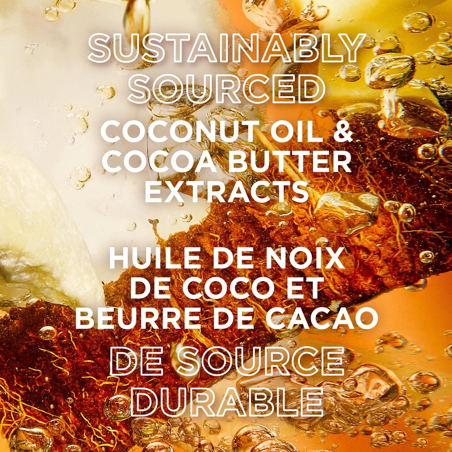 Garnier Whole Blends Shampoo with Coconut Oil & Cocoa Butter Extracts, 22 Fl Oz (1 Count)