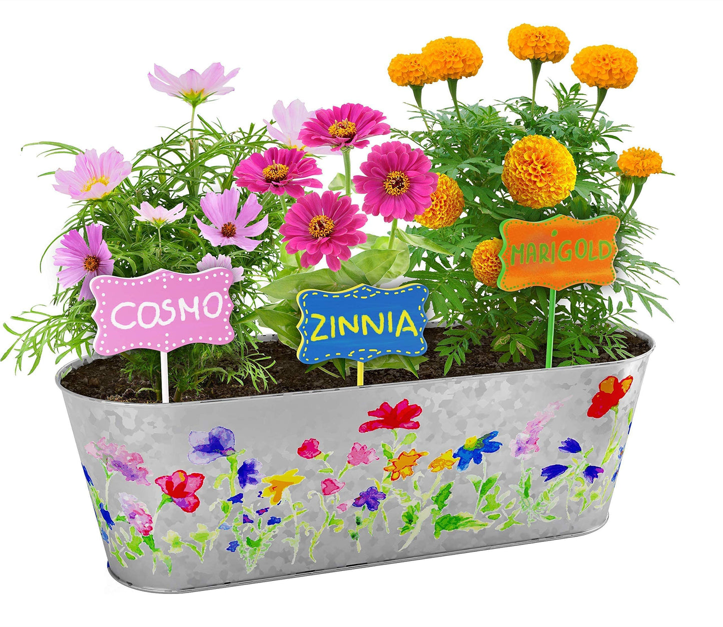 Dan&Darci Paint & Plant Flower Growing Kit for Kids - Gift Ideas Age 5 6 7 8-12 Year Old Girl - Birthday Crafts Gifts for Girls & Boys, Fun Children Gardening Kits, Art Projects for Ages 5-12 Years