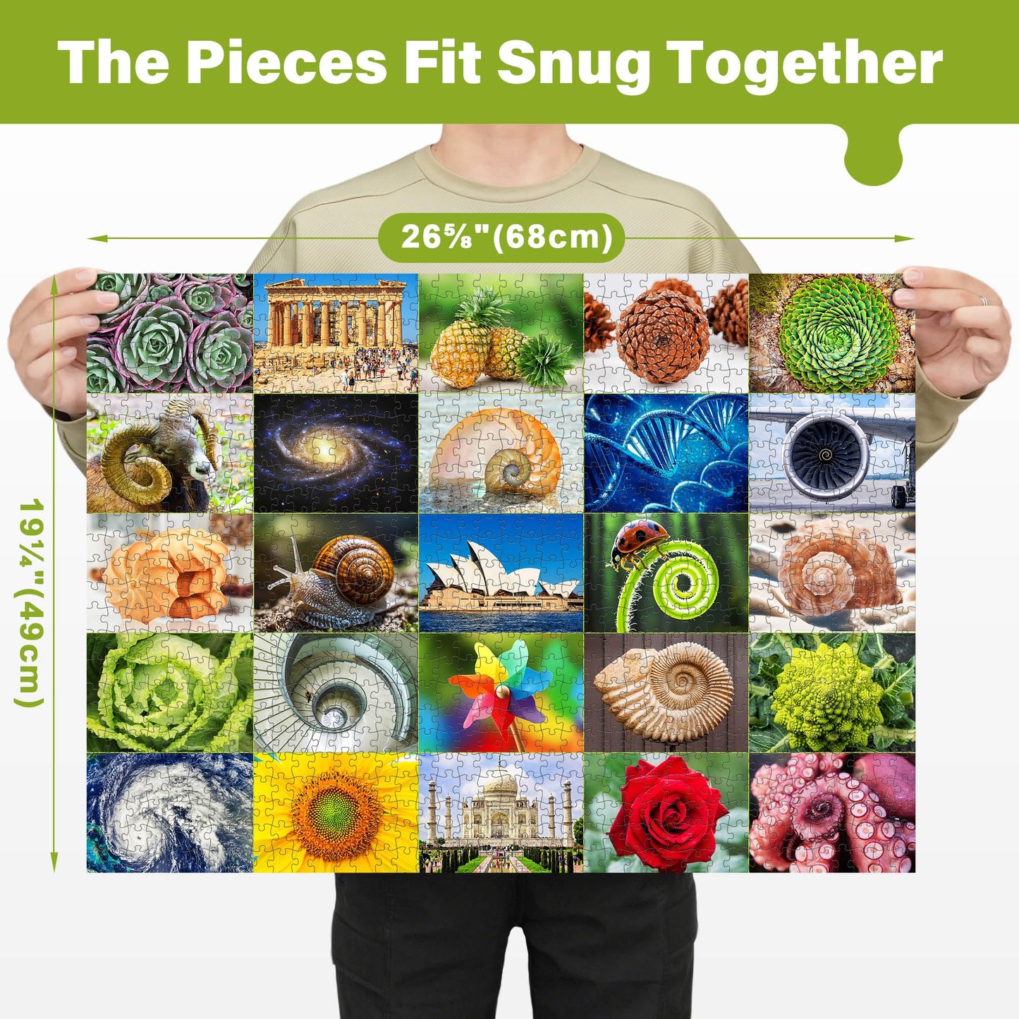 BenBen 1000 Piece Puzzle for Adults, 25 Fibonacci Spirals in Nature, Jigsaw Puzzles with Letters on Back, Challenging Puzzle for Game Night Home Décor
