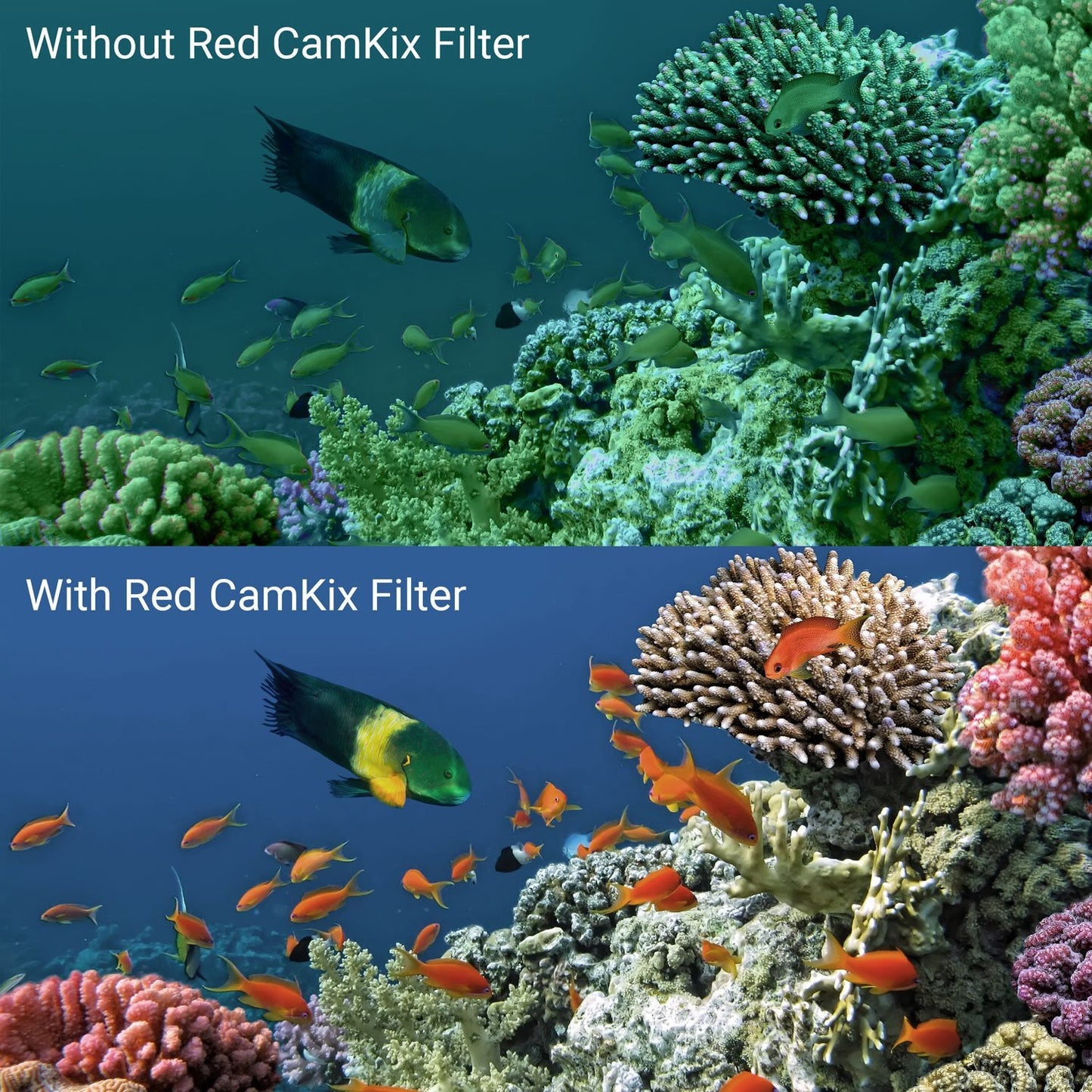 Camkix Diving Lens Filter Kit Compatible With Gopro Hero 4, Hero+, Hero And 3+ - Fits Standard Waterproof Housing - Enhances Col