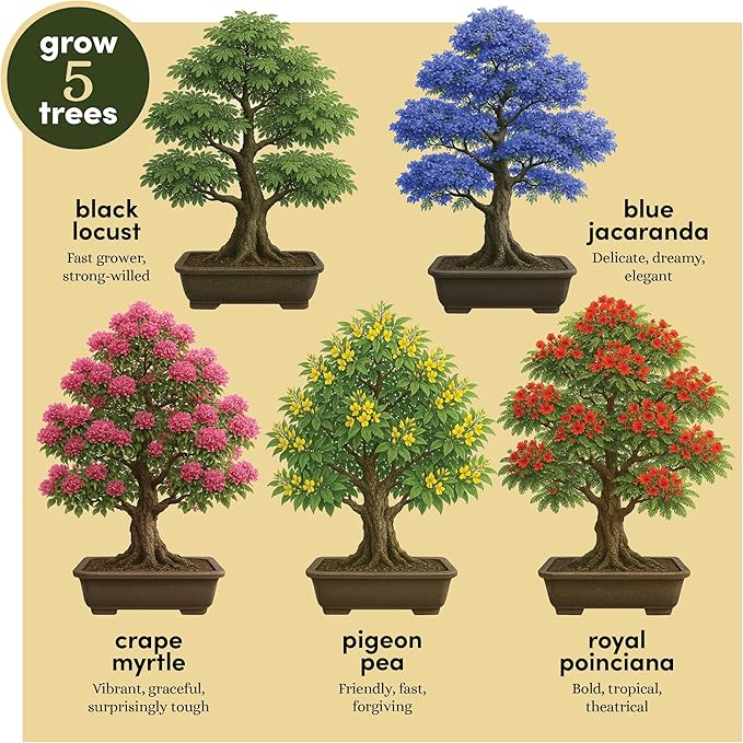 Planter's Choice Bonsai Tree Starter Kit - Unique Gifts for Women, Men - Christmas Gifts for Adults - Indoor Live House Plants - DIY Crafts for Adults Craft Kits - Hobby Gift for Gardening Lovers