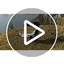 Nice C Chair with Canopy, Heated Camping Chair with Battery, Outdoor Sports Chairs with Shade, Heated Folding Umbrella Cha...
