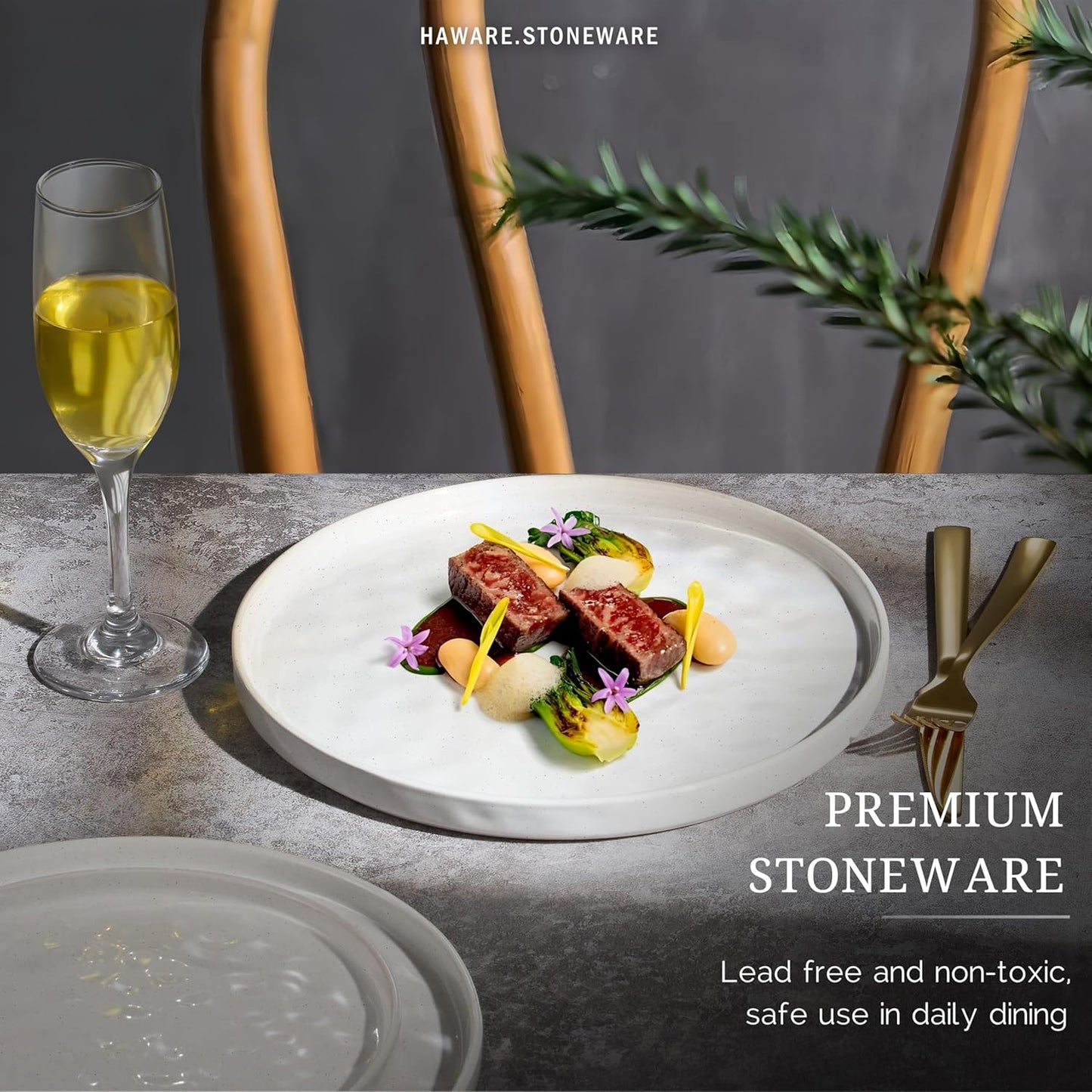 HaWare Stoneware Dinner Plates Set of 6, 10" Heavy Duty Ceramic Plate, Reactive Glaze Ripple Dinnerware for Home Restaurant, Chip and Scratch Resistant, Microwave and Dishwasher Safe, Speckled White