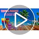 4E's Novelty 48 Packs Tropical Party Cups with Parasol Straws - Disposable Plastic Cups 16oz BPA free, for Hawaiian Luau P...