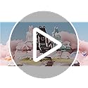 Dowinx Gaming Chair Cute with Cat Ears and Massage Lumbar Support, Ergonomic Computer Chair for Girl with Footrest and Hea...
