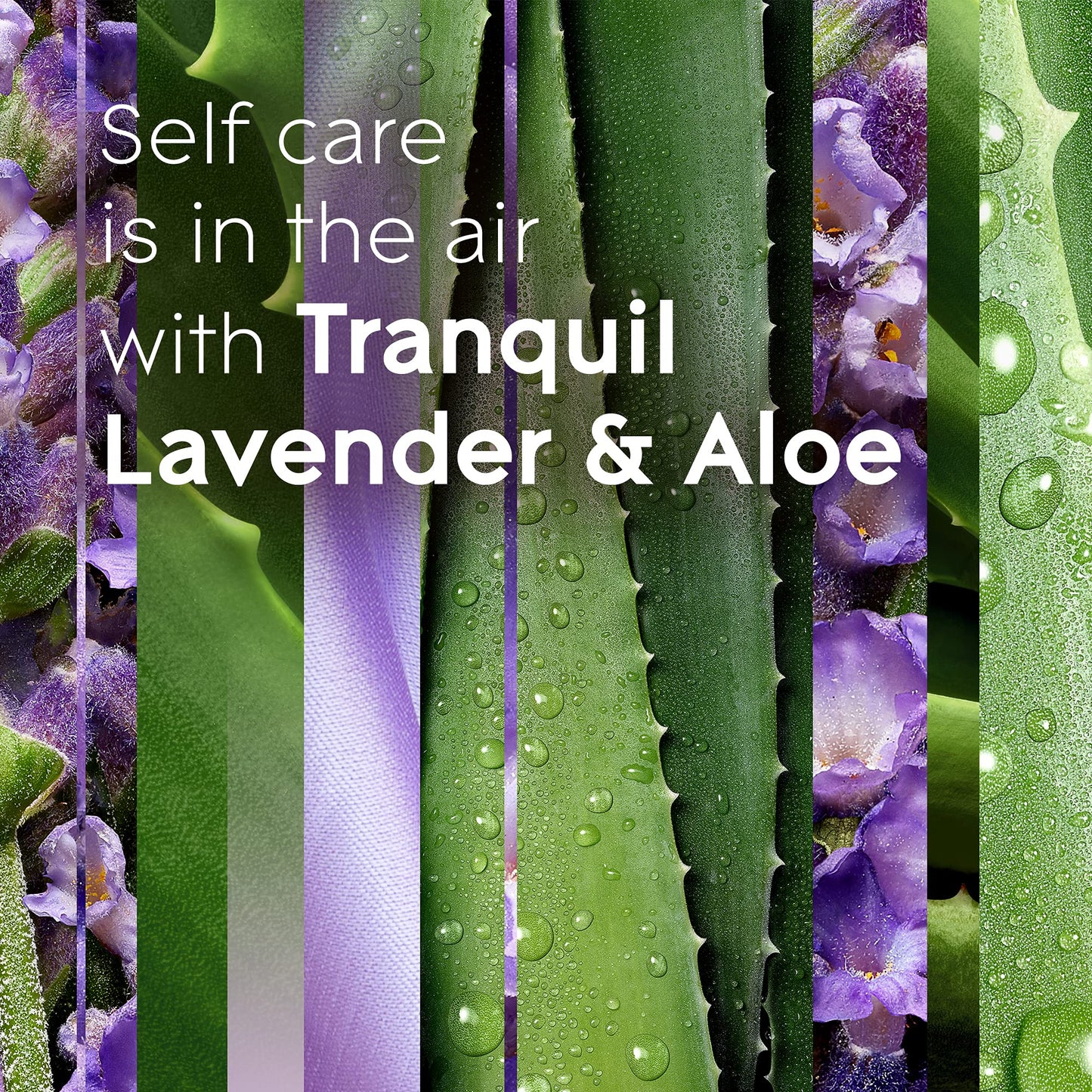 Glade Plugins Refills Air Freshener, Scented And Essential Oils For Home And Bathroom, Tranquil Lavender & Aloe, 1.34 Oz, 12 Cou