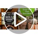 HOME GROWN Succulent & Cactus Seed Kit for Planting – [Enthusiasts Favorites] Premium Cactus & Succulent Starter Kit: 4 Pl...