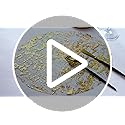 Snowkingdom Gold Placemats Set of 50 Round 13 Inch Foil Mesh Pressed Bulk Disposable Fall Table Mates 50 Pack Gold Doilies...