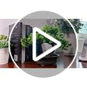 yoerm Artificial Bonsai Tree Fake Plants for Home Decor, Living Room Bathroom Bookshelf Entryway Table Wall Shelf Modern F...