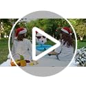Bencailor Christmas Party Decoration Inflatable Lime Green Christmas Tree Cooler Blow up Pool Birthday Xmas Party Favor Su...
