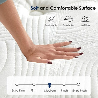 Dexmalle 12 Inch Hybrid Mattress