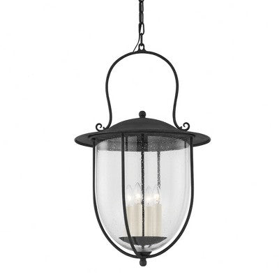 Troy Lighting Monterey County 4 - Light Pendant in French Iron Clear Seeded Shade