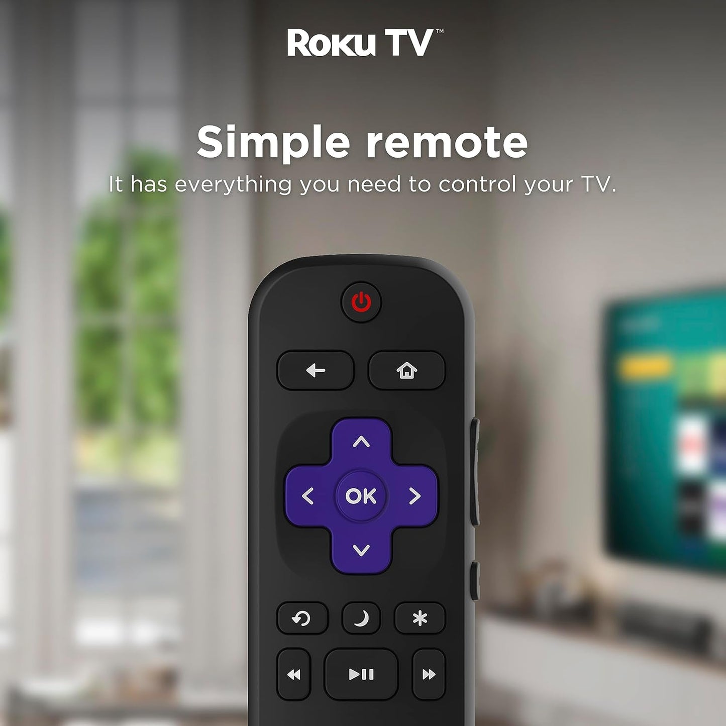 65-Inch Class R6 Series 4K UHD Smart Roku TV with Alexa Compatibility, Dolby Vision HDR, DTS Studio Sound, Game Mode (65R6G),Black