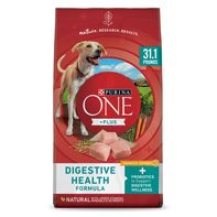 Purina ONE Dog Digestive Support, Natural Dry Dog ...
️