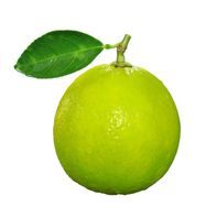 Key Lime️