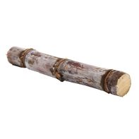 Sugar Cane️