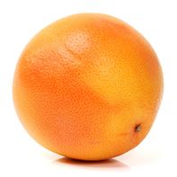 Cara Cara Orange️
