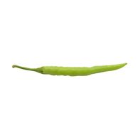 Thai Chile Pepper️