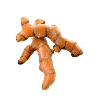 Organic Turmeric Root️