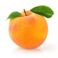 Apricot️