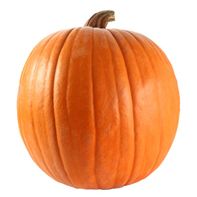 Jumbo Pumpkin️